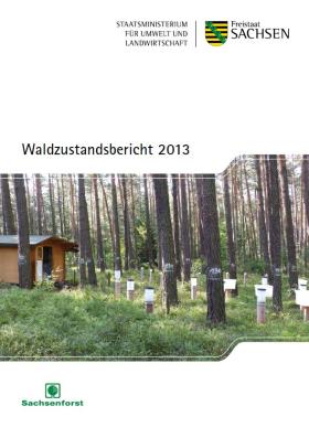 Waldzustandsbericht 2013