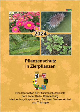 Vorschaubild zum Artikel Pflanzenschutz in Zierpflanzen 2024